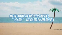 梅花易数寻物怎么看挂(“钓鱼”盗窃团伙用鱼竿)