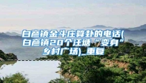 白彦镇金斗庄算卦的电话(白彦镇20个汪塘“变身”乡村广场)_重复