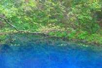 A型血的处女座男女性格分析(A型处女座女生)