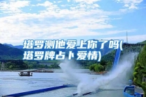 塔罗测他爱上你了吗(塔罗牌占卜爱情)