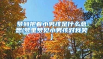 梦到抱着小男孩是什么意思(梦里梦见小男孩对我笑)