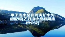 甲子海中金和丙寅炉中火相配吗(乙丑海中金和丙寅炉中火)