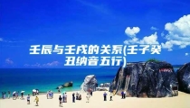 壬辰与壬戌的关系(壬子癸丑纳音五行)