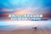 属狗2021年桃花运旺盛月份(属狗的人2021)