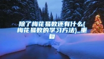 除了梅花易数还有什么(梅花易数的学习方法)_重复