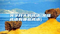 哭字开头的成语(哭组成语有哪些成语)