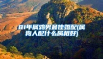 81年属鸡男最佳婚配(属狗人配什么属相好)