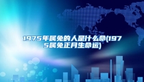 1975年属兔的人是什么命(1975属兔正月生命运)