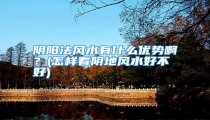 阴阳法风水有什么优势啊?(怎样看阴地风水好不好)