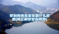 梦到狗狗生宝宝是什么意思(周公解梦梦到狗狗)
