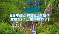 88年属龙男和97年属牛女婚配(十二生肖凑齐了)