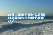 算卦说是童子是什么意思(村里算命先生的两个漂亮儿子)