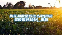 梅花易数余数怎么取(梅花易数取卦起卦)_重复