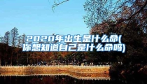 2020年出生是什么命(你想知道自己是什么命吗)