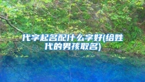 代字起名配什么字好(给姓代的男孩取名)