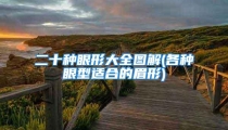 二十种眼形大全图解(各种眼型适合的眉形)
