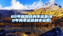82年属狗终身幸运色(82年狗幸运色和幸运数)