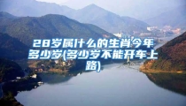28岁属什么的生肖今年多少岁(多少岁不能开车上路)