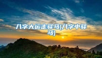 八字大运走驿马(八字中驿马)
