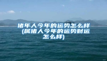 猪年人今年的运势怎么样 (属猪人今年的运势财运怎么样)
