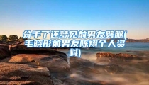 分手了还梦见前男友劈腿(毛晓彤前男友陈翔个人资料)