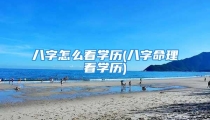 八字怎么看学历(八字命理看学历)