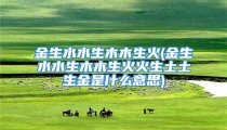 金生水水生木木生火(金生水水生木木生火火生土土生金是什么意思)