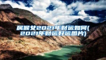 属猴女2021年财运如何(2021年财运好运图片)
