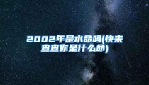 2002年是水命吗(快来查查你是什么命)