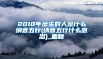 2010年出生的人是什么纳音五行(纳音五行什么意思)_重复
