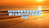 2020年鼠年出生的宝宝是什么命(2020年鼠年介绍)
