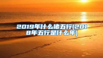 2019年什么猪五行(2018年五行是什么年)