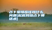 占卜爱情应该问什么问题(起底网络占卜师话术)
