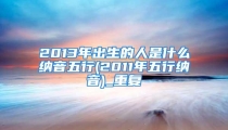 2013年出生的人是什么纳音五行(2011年五行纳音)_重复
