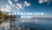 63年男最佳婚配(伏牛笔耕苑第)
