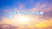 分手一个月了怎么挽回