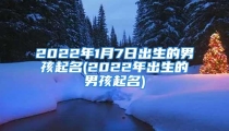 2022年1月7日出生的男孩起名(2022年出生的男孩起名)