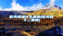 蛇夫座是什么星座(蛇夫座十二星座)