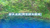 额头太高(男生额头很高)