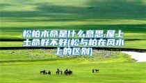 松柏木命是什么意思,屋上土命好不好(松与柏在风水上的区别)