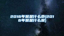 2016年猴是什么命(2016年猴是什么猴)