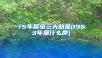 75年属兔三大劫难(1963年是什么命)