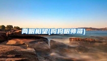 两眼相望(狗狗眼帅哥)