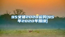 95女猪2020运势(95年2020年姻缘)