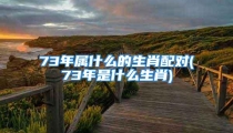 73年属什么的生肖配对(73年是什么生肖)