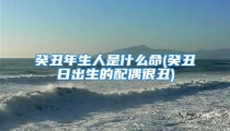 癸丑年生人是什么命(癸丑日出生的配偶很丑)