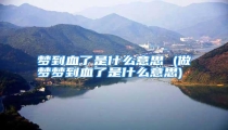 梦到血了是什么意思 (做梦梦到血了是什么意思)
