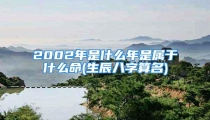 2002年是什么年是属于什么命(生辰八字算名)