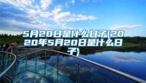 5月20日是什么日子(2020年5月20日是什么日子)