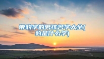 带豹字的男孩名字大全(豹是什么字)